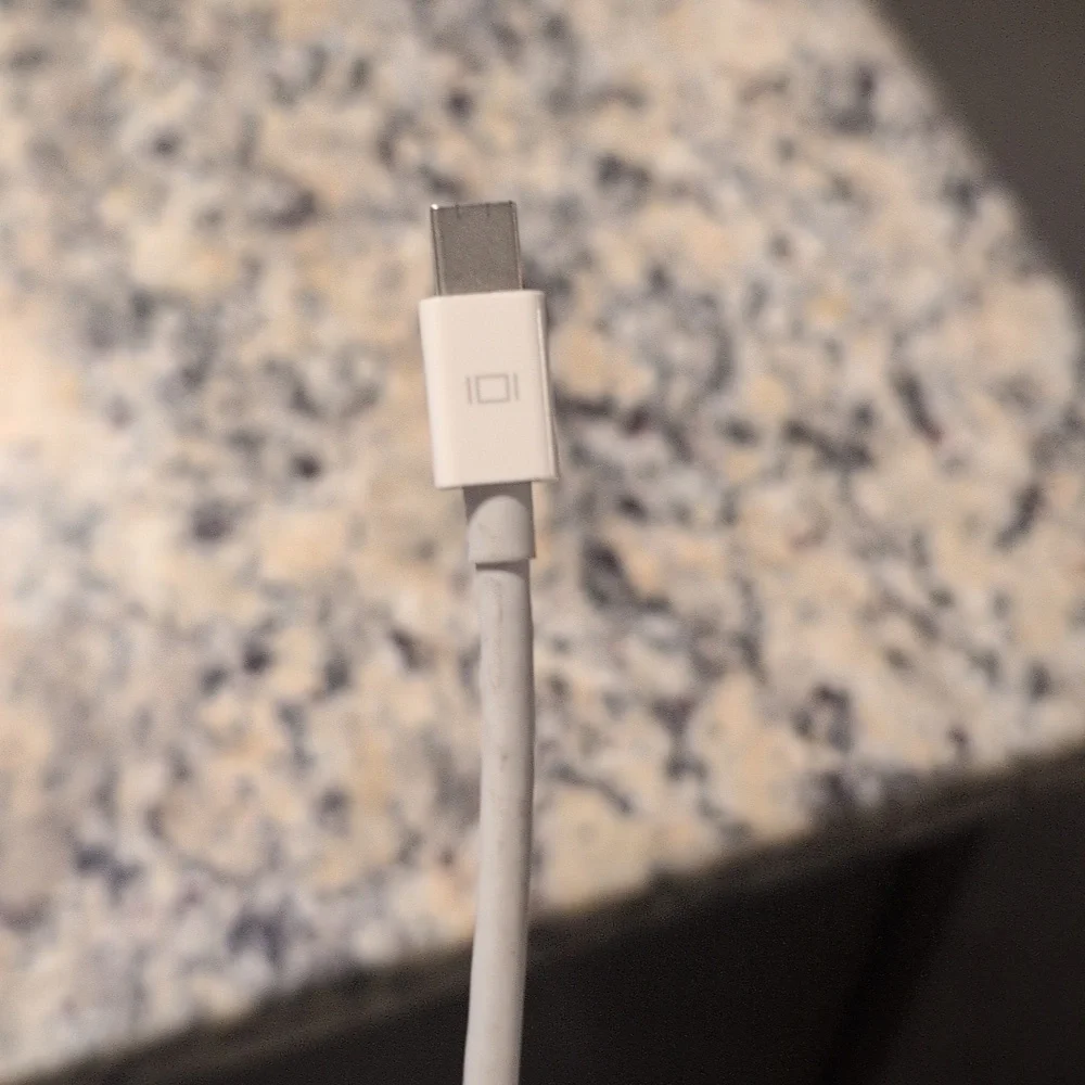 Apple Mini DisplayPort to DVI Adapter